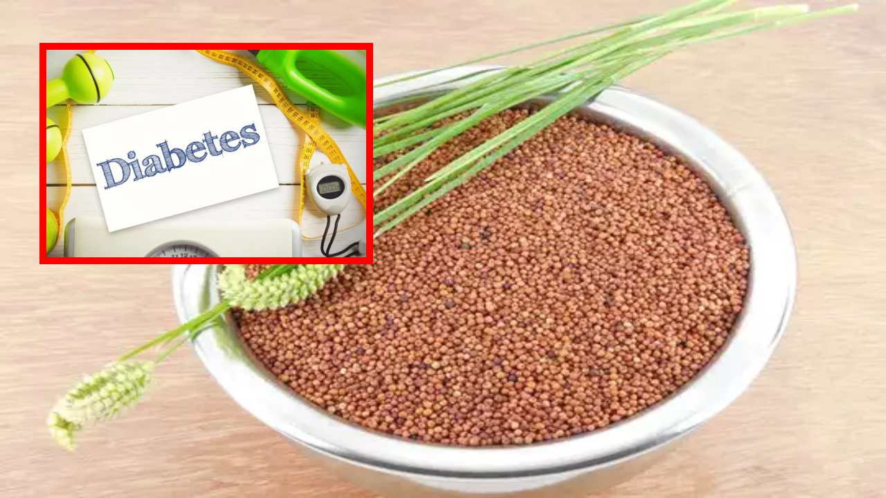 Fighting Diabetes : డయాబెటిస్తో పోరాడటంతోపాటు, రక్తంలో చక్కెరను అదుపులో ఉంచే ఈ చిరుధాన్యం గురించి తెలుసా ? Fighting Diabetes : డయాబెటిస్తో పోరాడటంతోపాటు, రక్తంలో చక్కెరను అదుపులో ఉంచే ఈ చిరుధాన్యం గురించి తెలుసా ?