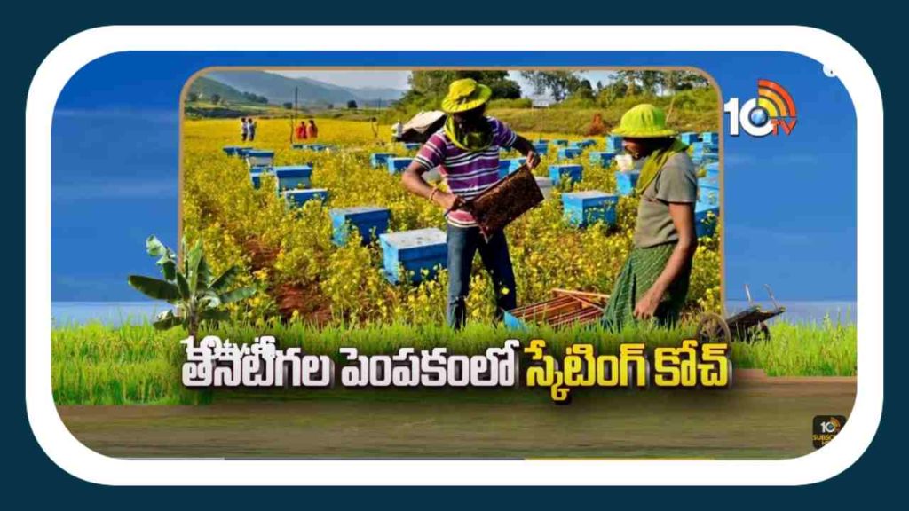 Honey Bee Farming