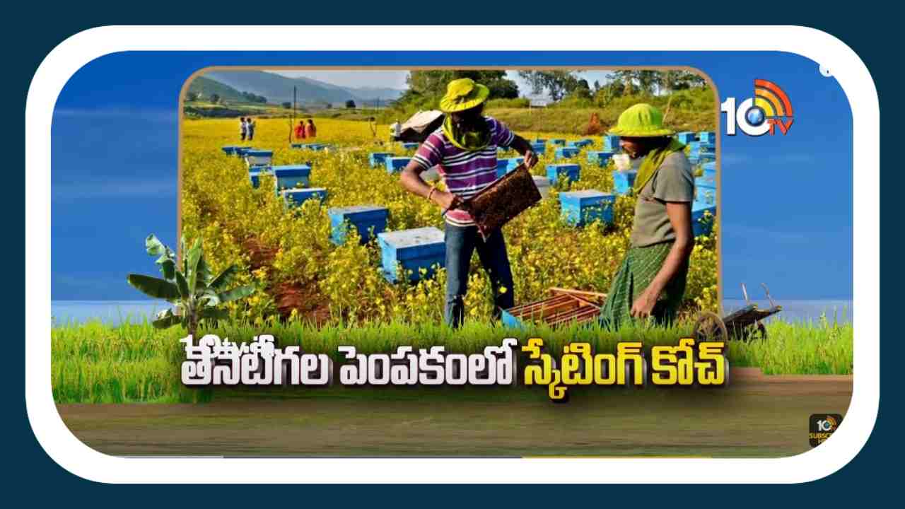 Bee Farming : తేనెటీగల పెంపకంతో నెలకు లక్షరూపాయల సంపాదన Bee Farming : తేనెటీగల పెంపకంతో నెలకు లక్షరూపాయల సంపాదన