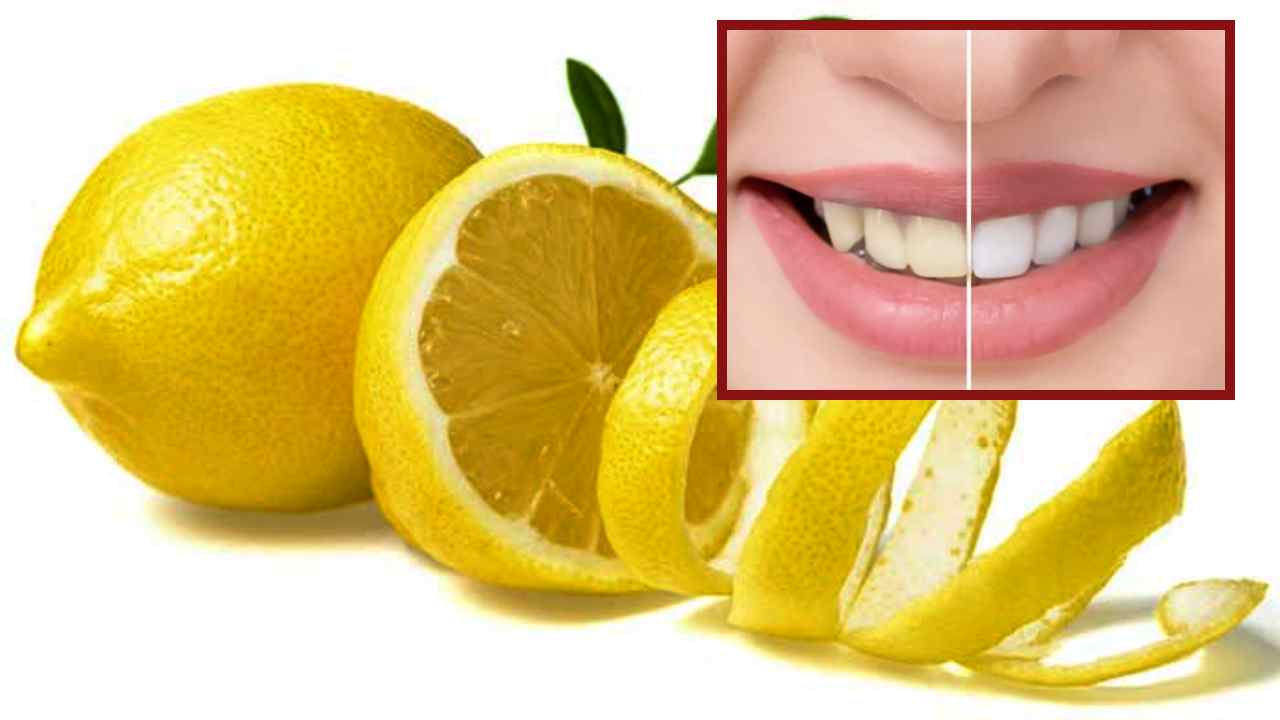Secret to White Teeth : నిమ్మ తొక్క తో మీ దంతాలను తెల్లగామారేలా చేయటం వెనుక రహస్యం తెలుసా ? Secret to White Teeth : నిమ్మ తొక్క తో మీ దంతాలను తెల్లగామారేలా చేయటం వెనుక రహస్యం తెలుసా ?