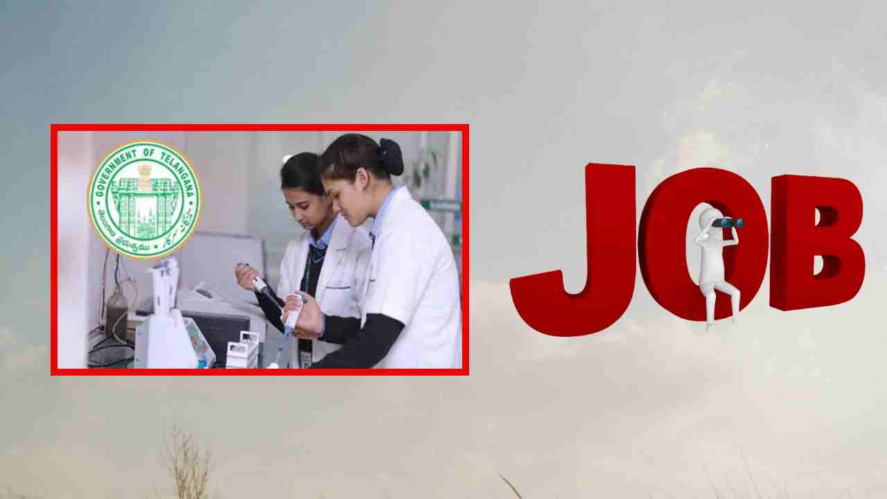 Health Assistant Jobs : తెలంగాణాలో మల్టీపర్పస్ హెల్త్ అసిస్టెంట్ పోస్టుల భర్తీ Health Assistant Jobs : తెలంగాణాలో మల్టీపర్పస్ హెల్త్ అసిస్టెంట్ పోస్టుల భర్తీ