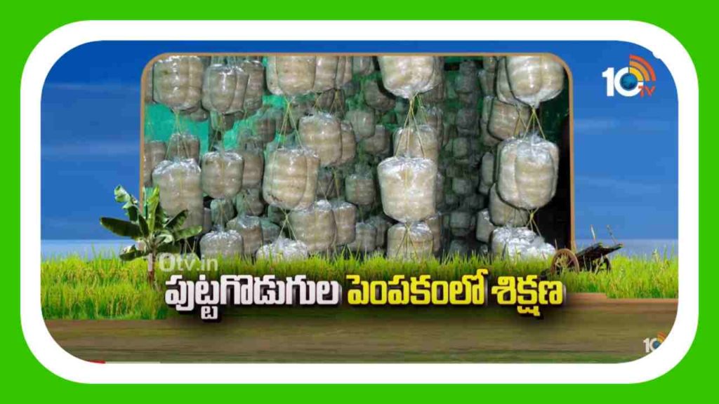 Mushroom Cultivation