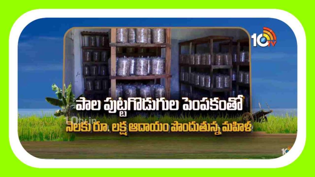 Mushroom Cultivation