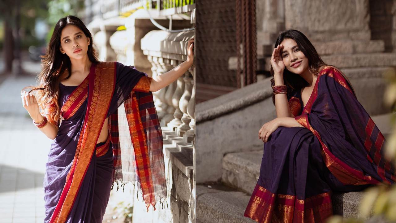 Nabha Natesh :  చీరకట్టులో నగుమోము నభా నటేష్..