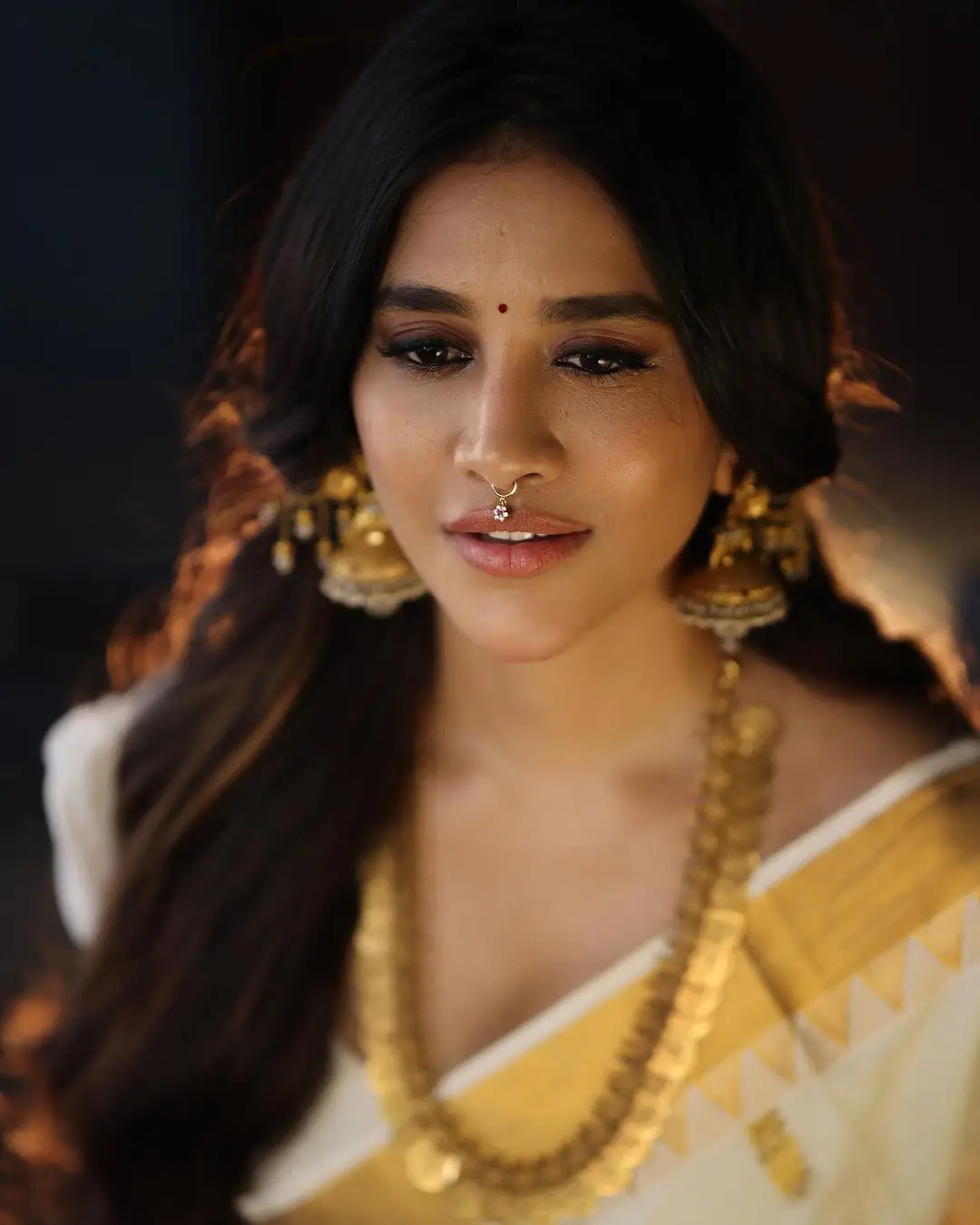 Nabha Natesh Shines in Saree Onam Festival Special Photo Shoot