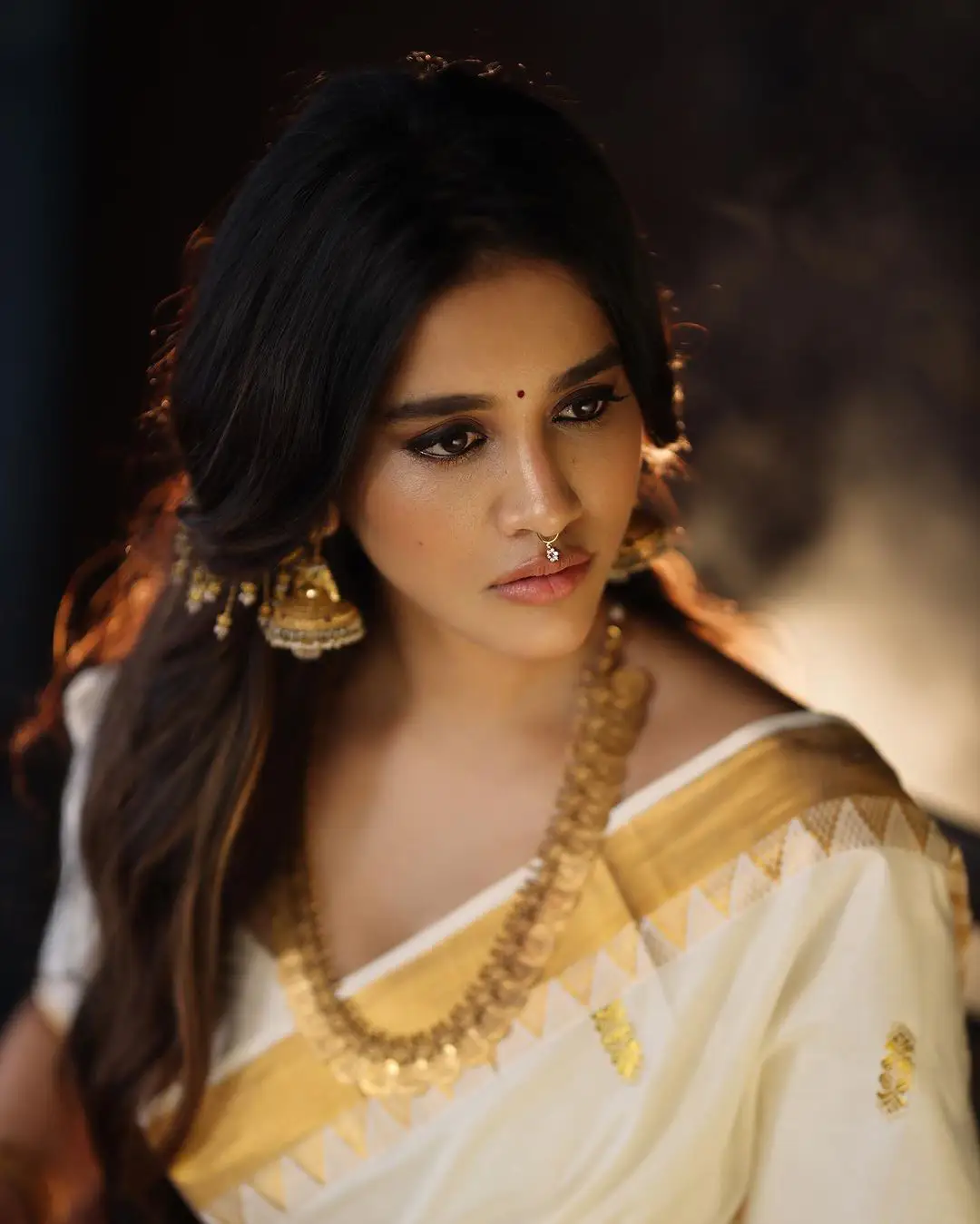 Nabha Natesh Shines in Saree Onam Festival Special Photo Shoot