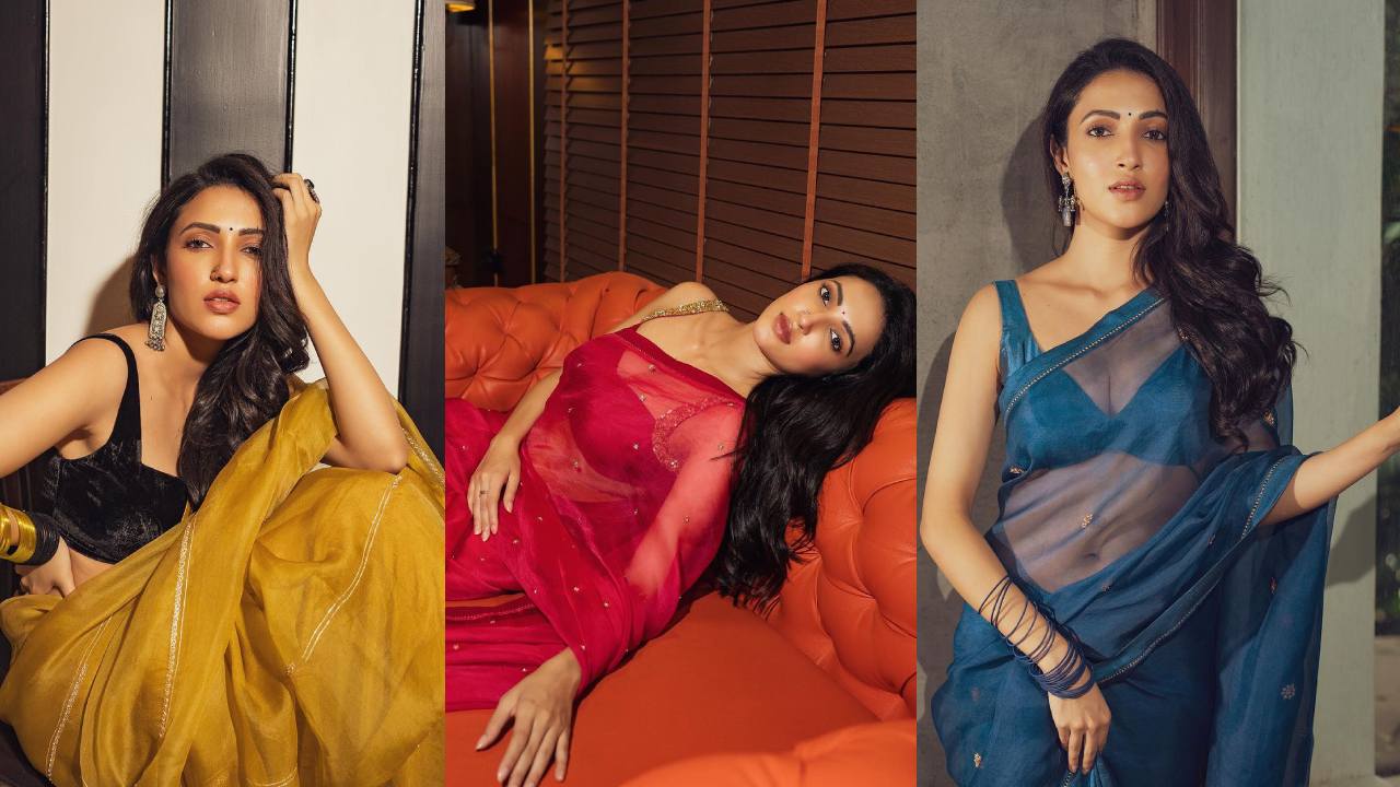 Neha Sshetty : ఉఫ్.. చీరలో కూడా ఇంత హాట్‌గానా.. నేహా శెట్టి నిగనిగలు..