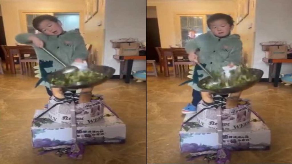 Chinese Toddler Viral Video