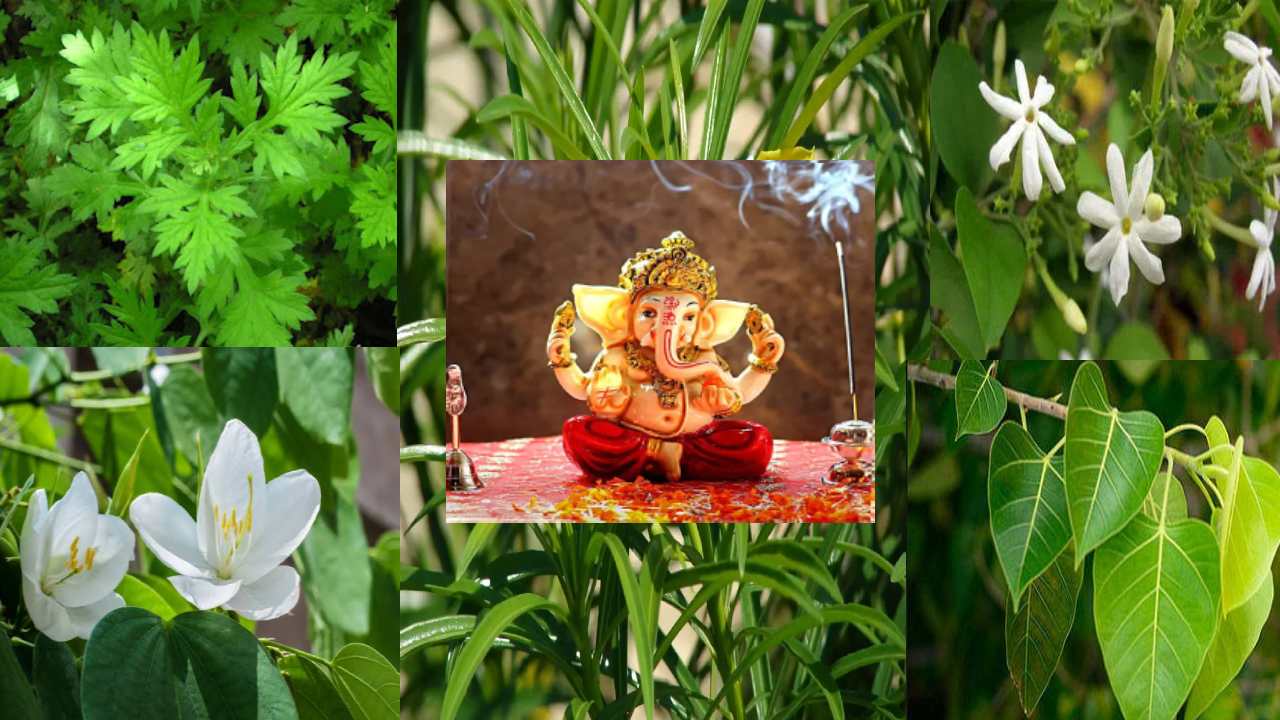 Ganesh Chaturthi 2023 : ఈ 21 ఆకులతో గణపతిని పూజిస్తే మీ ఇంట్లో సిరిసంపదలకు లోటుండదు Ganesh Chaturthi 2023 : ఈ 21 ఆకులతో గణపతిని పూజిస్తే మీ ఇంట్లో సిరిసంపదలకు లోటుండదు