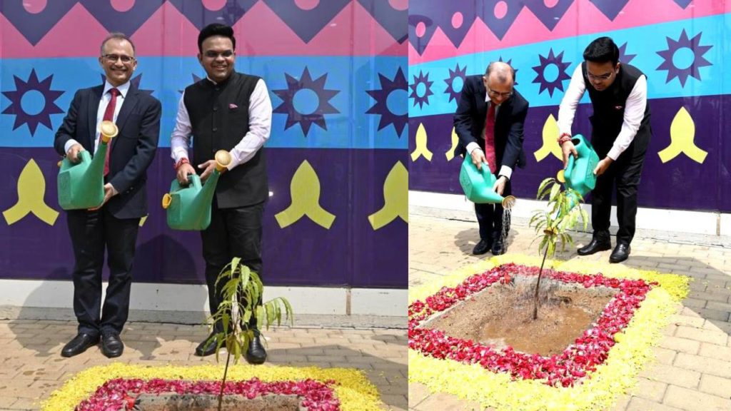 BCCI planted trees