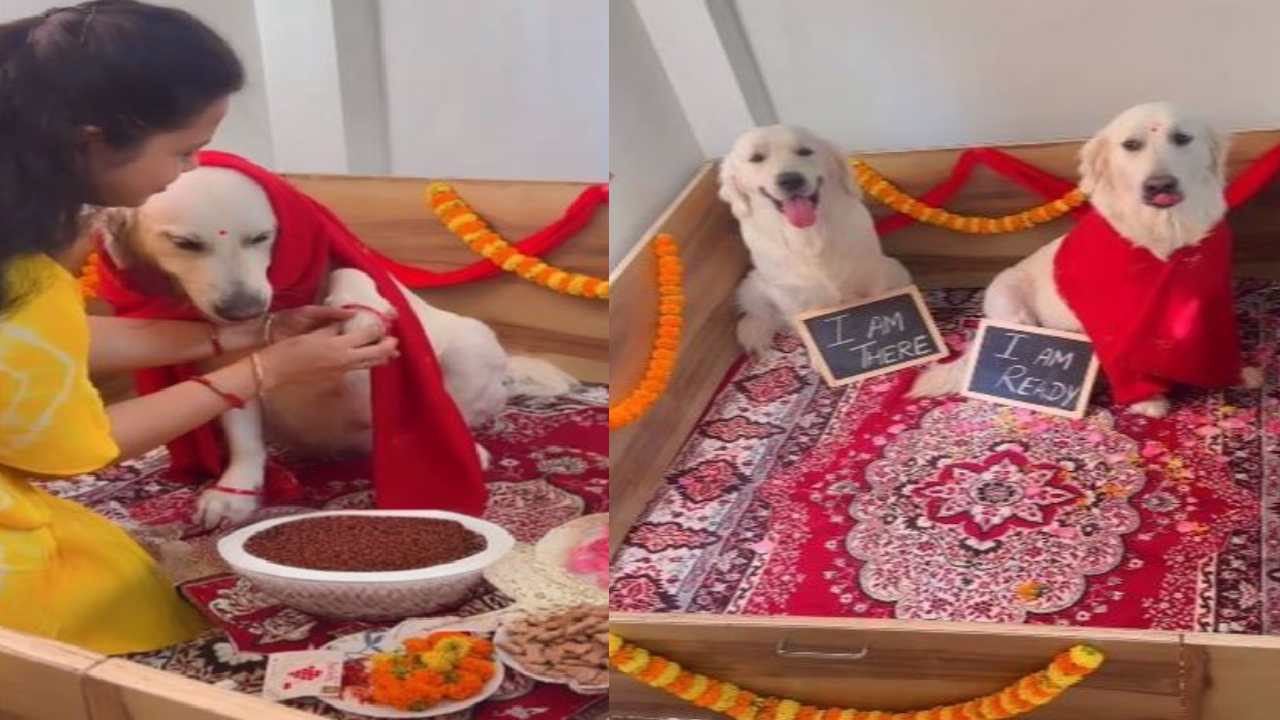 Viral Video : గాజులు తొడిగి.. పూలు జల్లి కుక్కకు శ్రీమంతం.. వైరల్ అవుతున్న వీడియో Viral Video : గాజులు తొడిగి.. పూలు జల్లి కుక్కకు శ్రీమంతం.. వైరల్ అవుతున్న వీడియో