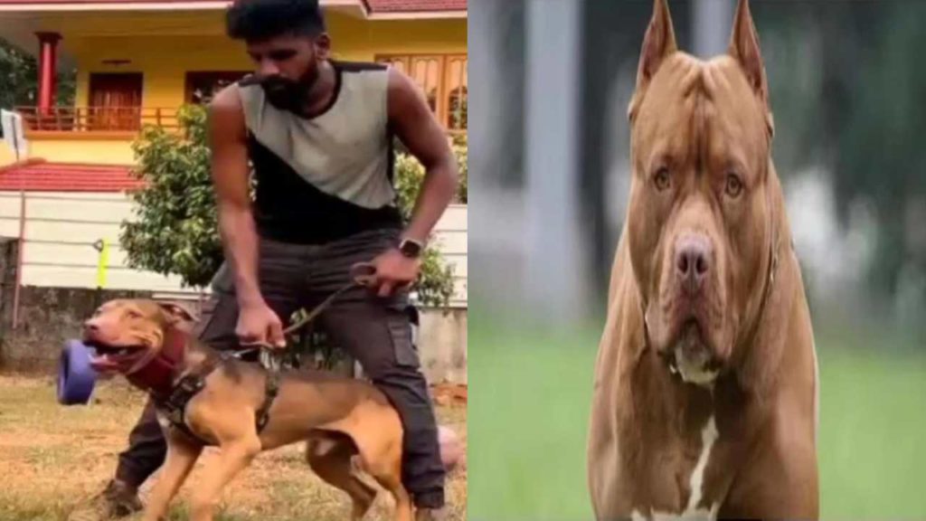 Kerala