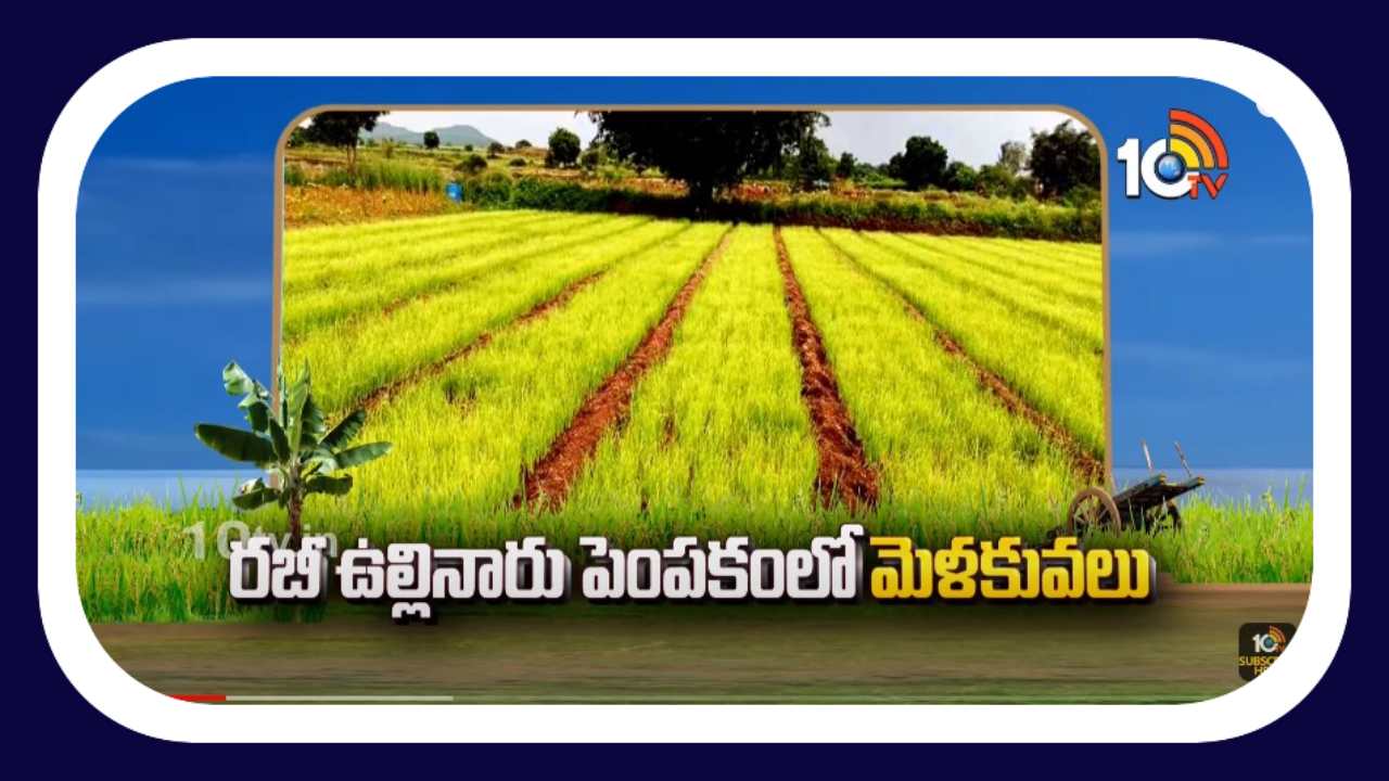 Onion Cultivation : రబీ ఉల్లి సాగు.. నారుమడుల పెంపకంలో చేపట్టాల్సిన యాజమాన్యం Onion Cultivation : రబీ ఉల్లి సాగు.. నారుమడుల పెంపకంలో చేపట్టాల్సిన యాజమాన్యం