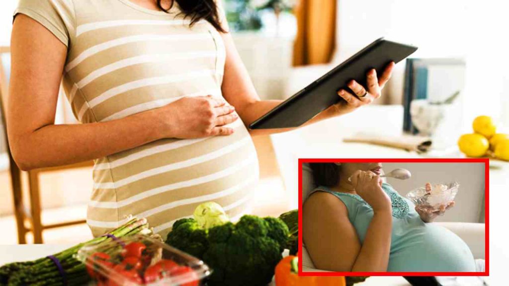 Pregnancy Diet