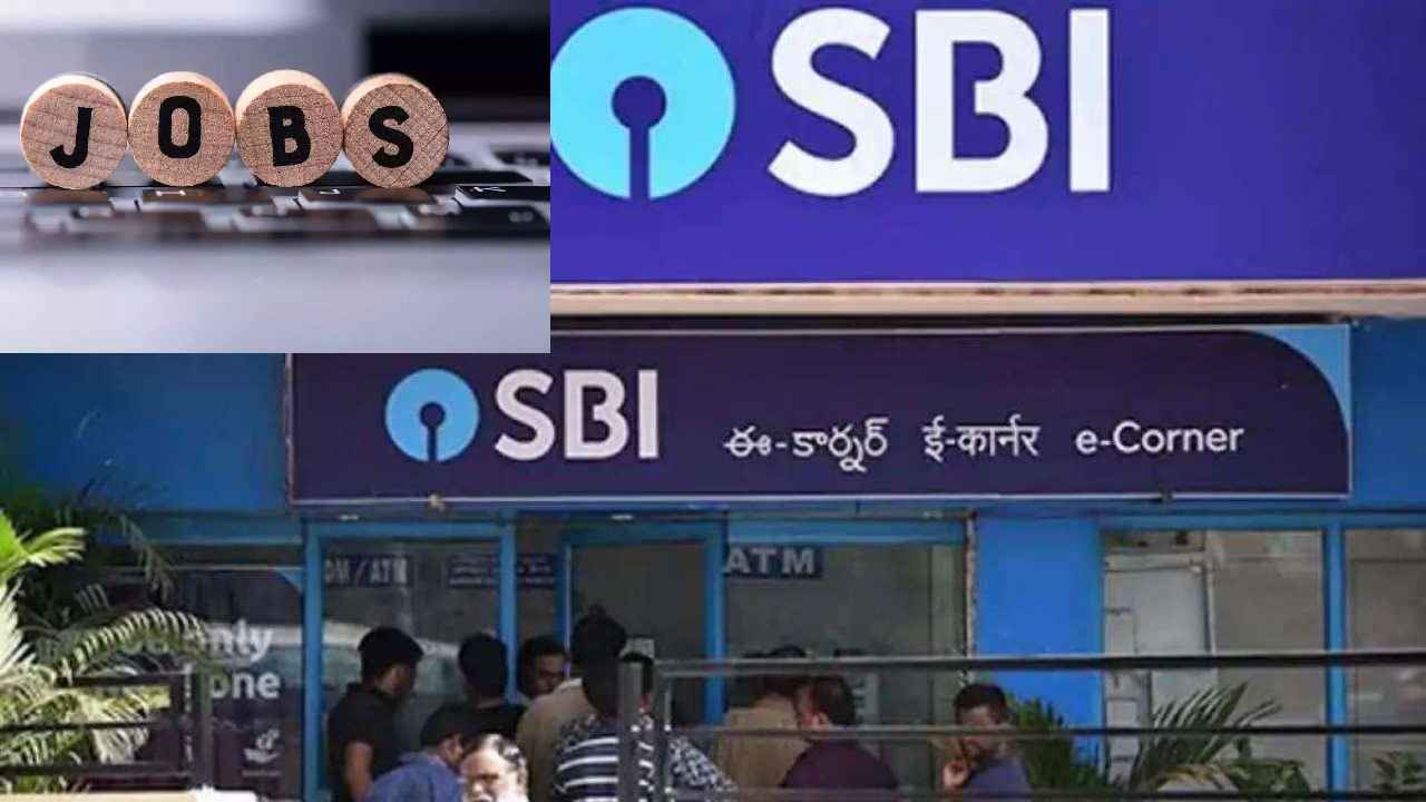 SBI Jobs : డిగ్రీ పాస్ అయితే చాలు, ప్రభుత్వ బ్యాంకులో ఉద్యోగాలు.. అర్హతలు, జీతం, దరఖాస్తు వివరాలు SBI Jobs : డిగ్రీ పాస్ అయితే చాలు, ప్రభుత్వ బ్యాంకులో ఉద్యోగాలు.. అర్హతలు, జీతం, దరఖాస్తు వివరాలు