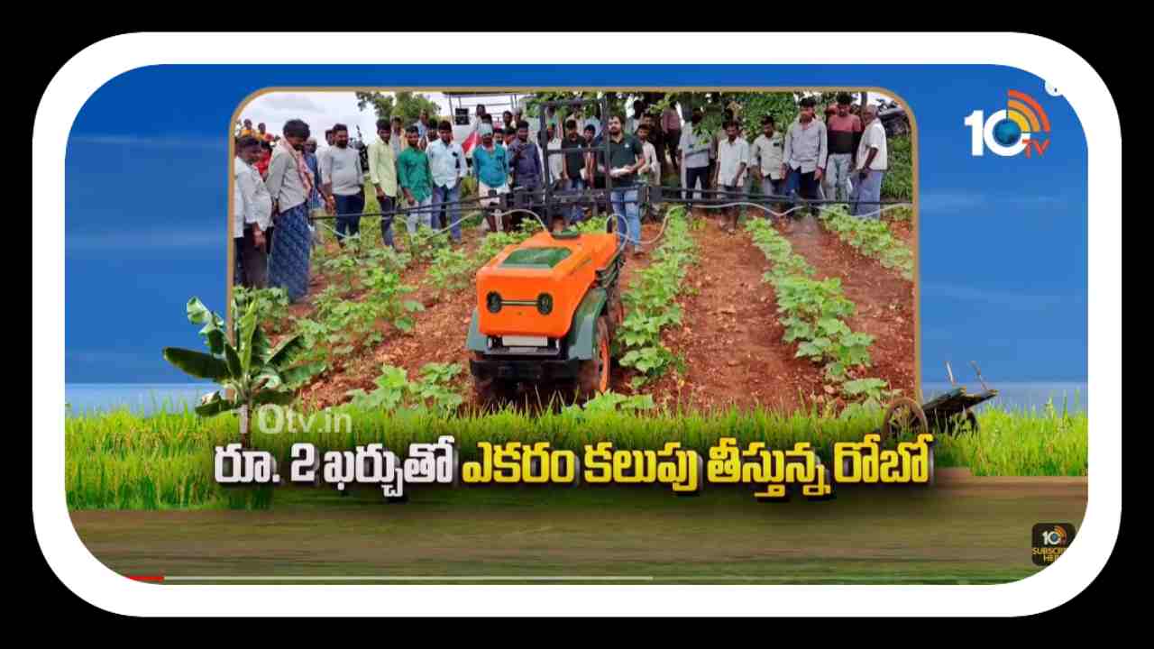 Technologies In Agriculture : వ్యవసాయ పనులు చేస్తున్న రోబో.. రెండు రూపాయల ఖర్చుతోనే ఎకరంలో కలుపుతీత Technologies In Agriculture : వ్యవసాయ పనులు చేస్తున్న రోబో.. రెండు రూపాయల ఖర్చుతోనే ఎకరంలో కలుపుతీత