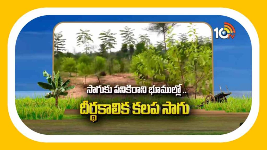 Uncultivable Lands