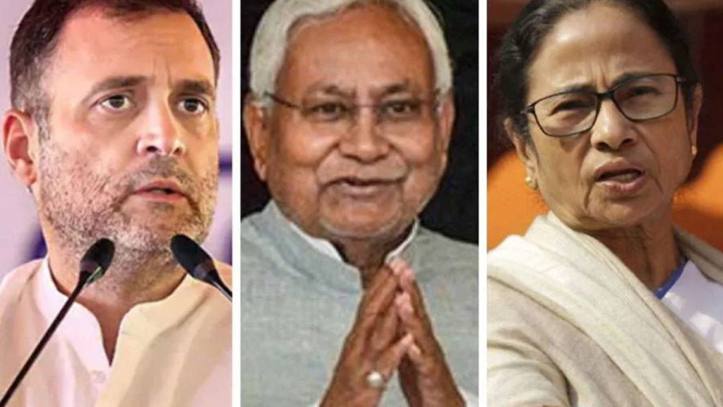 there no pm candidate in india by survey intresting results