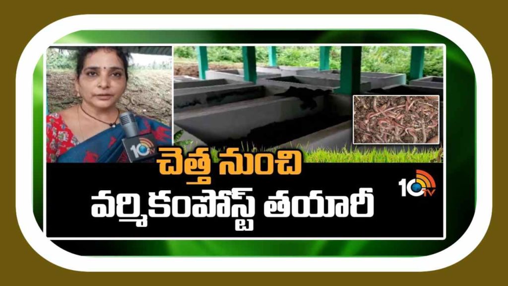 Vermi Compost Preparation