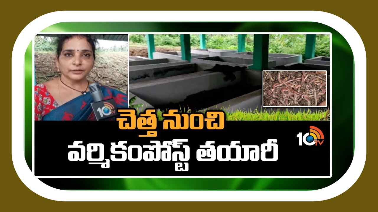 Making Vermicompost : చెత్తనుండి వర్మికంపోస్ట్ తయారీ Making Vermicompost : చెత్తనుండి వర్మికంపోస్ట్ తయారీ