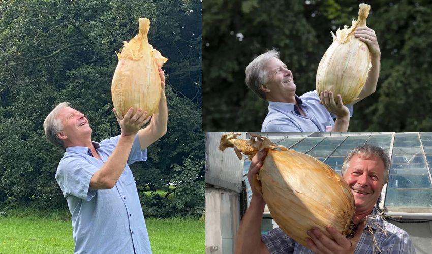 Bigest onion : ఉల్లిగడ్డ వరల్డ్ రికార్డ్ .. ఒక్క ఉల్లిపాయ 9 కిలోలు Bigest onion : ఉల్లిగడ్డ వరల్డ్ రికార్డ్ .. ఒక్క ఉల్లిపాయ 9 కిలోలు