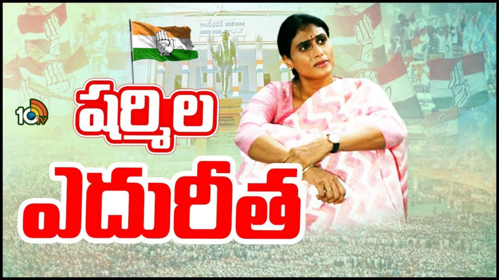 tummala nageswar rao best option for paleru than ys sharmila