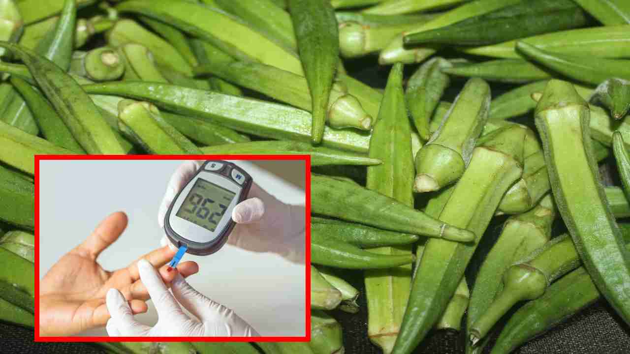 Okra for Diabetes : డయాబెటిక్-ఫ్రెండ్లీ ఆహారంగా బెండకాయ ఎలా తోడ్పడుతుందంటే ? Okra for Diabetes : డయాబెటిక్-ఫ్రెండ్లీ ఆహారంగా బెండకాయ ఎలా తోడ్పడుతుందంటే ?