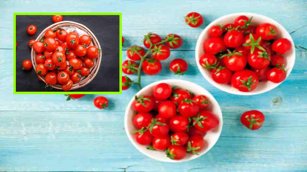 Cherry Tomatoes : చెర్రీ టొమాటోలు క్యాన్సర్, గుండె జబ్బుల నుండి రక్షిస్తాయా ? Cherry Tomatoes : చెర్రీ టొమాటోలు క్యాన్సర్, గుండె జబ్బుల నుండి రక్షిస్తాయా ?