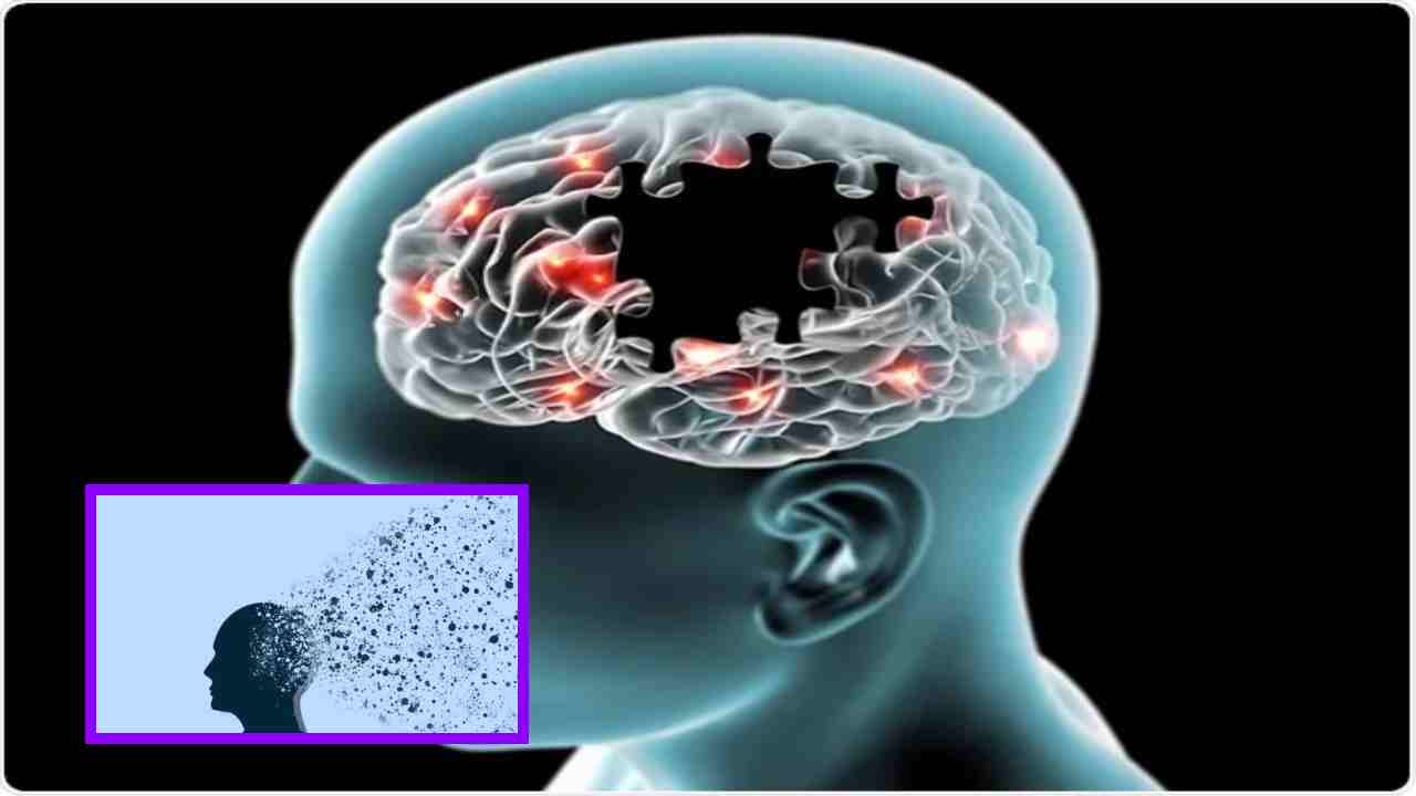 Alzheimer’s Early Signs : అల్జిమర్స్ వచ్చే ముందు సంకేతాలు ఇవే ! Alzheimer’s Early Signs : అల్జిమర్స్ వచ్చే ముందు సంకేతాలు ఇవే !