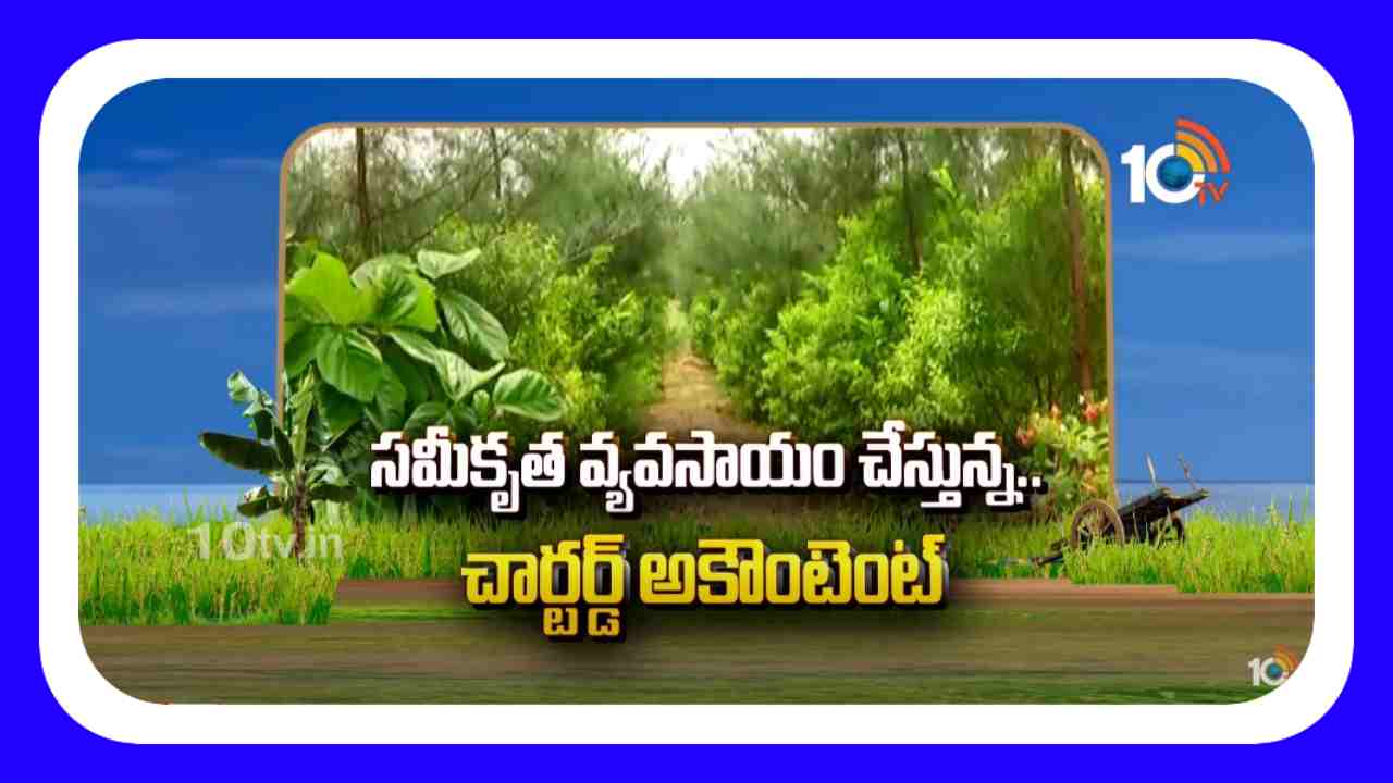 Integrated Farming : సమీకృత వ్యవసాయం చేస్తున్న.. చార్టర్డ్ అకౌంటెంట్ Integrated Farming : సమీకృత వ్యవసాయం చేస్తున్న.. చార్టర్డ్ అకౌంటెంట్