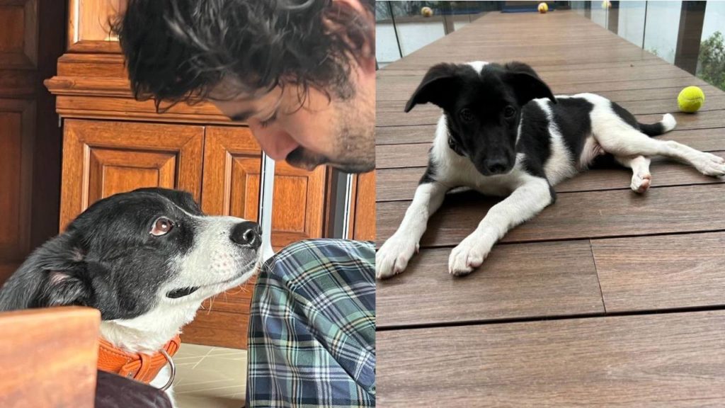 Mahesh Babu Welcomes new Pet Dog Snoopy into his Home