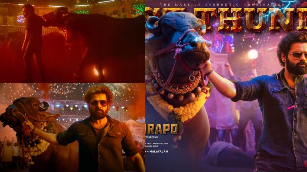 Boyapati Brings Biggest Buffalo for Ram Pothineni Skanda Movie