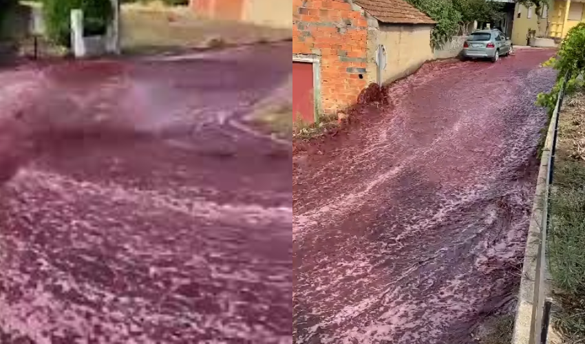 Red Wine River Viral Video : వీధుల్లో ప్రవహించిన రెడ్ వైన్ నది .. Red Wine River Viral Video : వీధుల్లో ప్రవహించిన రెడ్ వైన్ నది ..