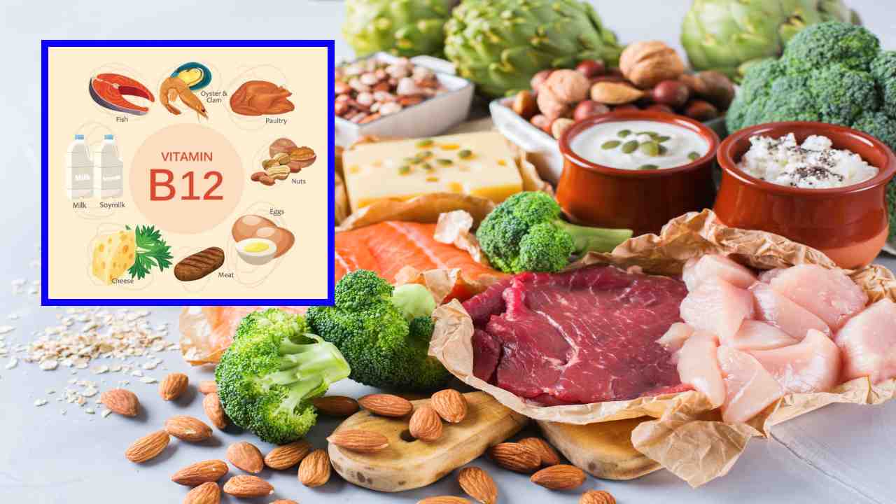 B vitamins : మంచి కొలెస్ట్రాల్ స్థాయిలను పెంచటంలో బి విటమిన్ల సముదాయం ఎలా సహాయపడతాయో తెలుసా ? B vitamins : మంచి కొలెస్ట్రాల్ స్థాయిలను పెంచటంలో బి విటమిన్ల సముదాయం ఎలా సహాయపడతాయో తెలుసా ?