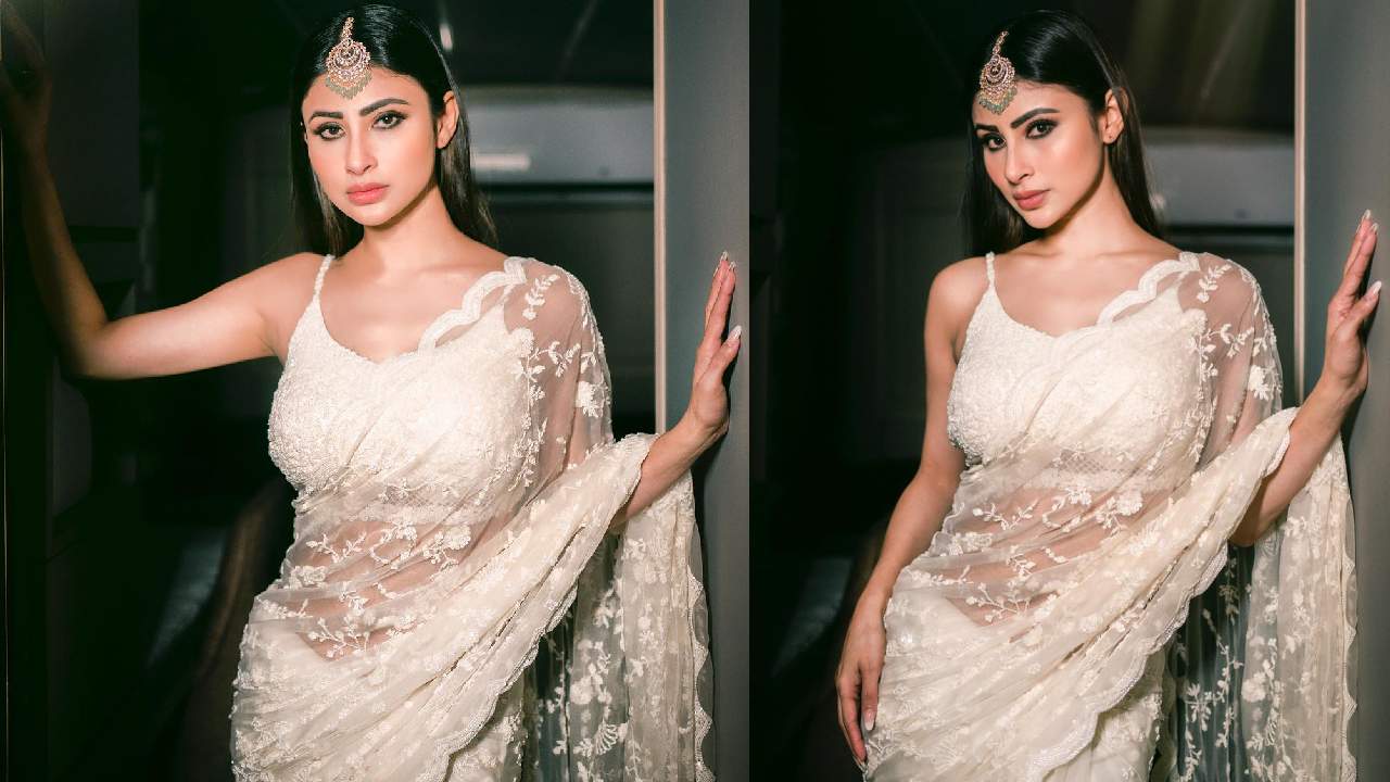 Mouni Roy : చీరలో నాగిని నాజూకులు చూడతరమా..