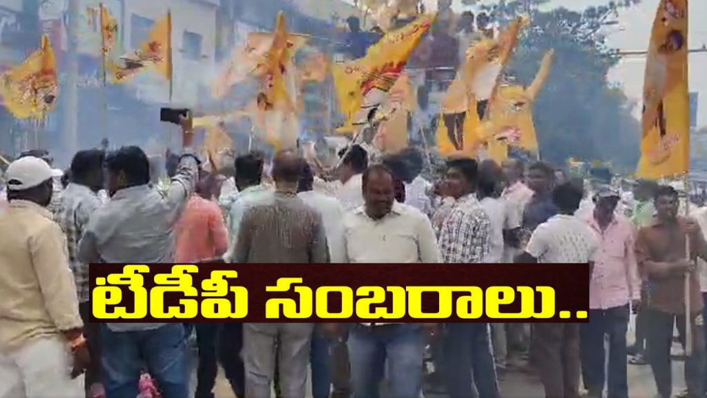 Chandrababu Bail TDP Celebrations