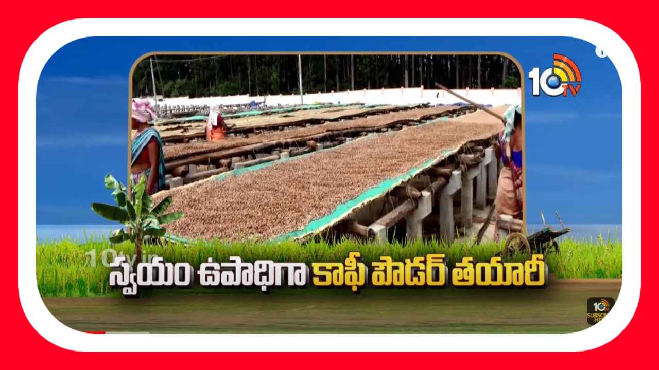 Coffee Powder : స్వయం ఉపాధిగా కాఫీ పౌడర్ తయారీ Coffee Powder : స్వయం ఉపాధిగా కాఫీ పౌడర్ తయారీ