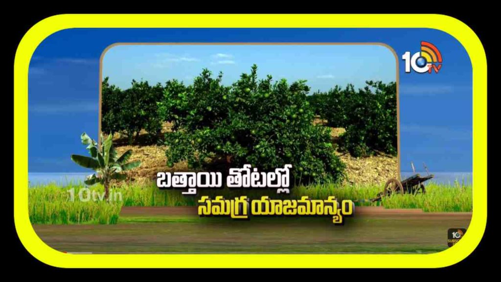 Cultivation Methods