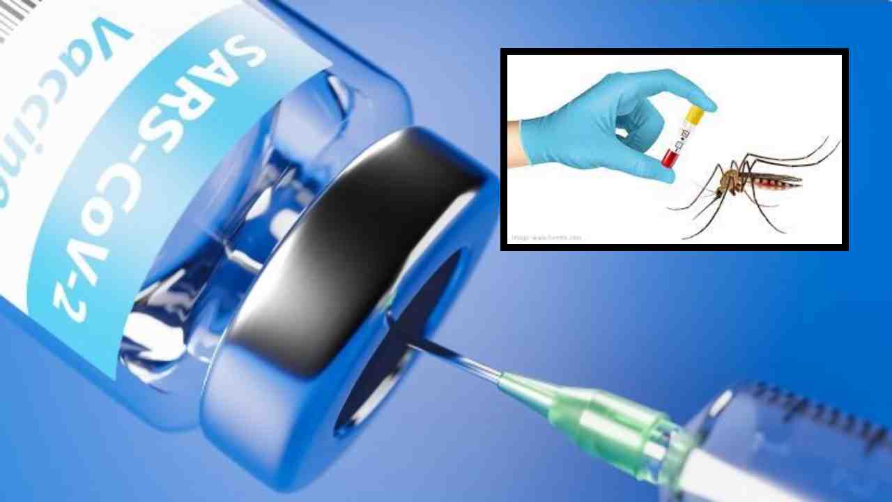 Dengue Cases : డెంగ్యూ కేసులు ఎందుకు తీవ్రమవుతున్నాయి? Dengue Cases : డెంగ్యూ కేసులు ఎందుకు తీవ్రమవుతున్నాయి?