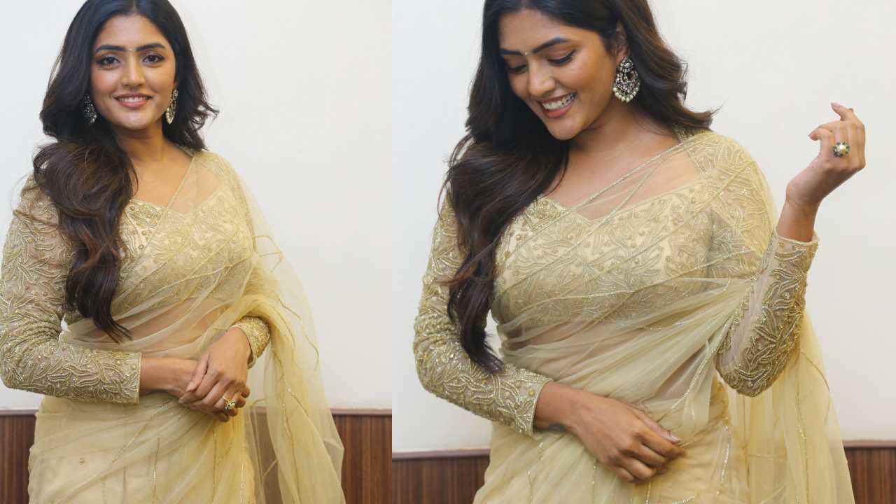 Eesha Rebba : మామా మశ్చీంద్ర ప్రీ రిలీజ్ ఈవెంట్లో చీరలో మెరిపించిన ఈషారెబ్బ..