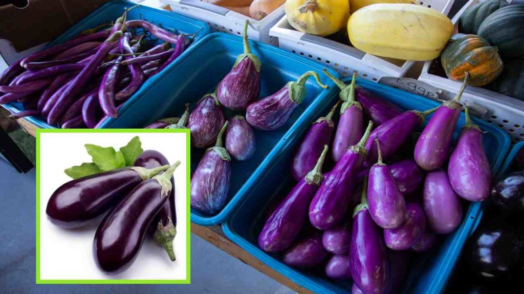 Health Benefits of Eggplants