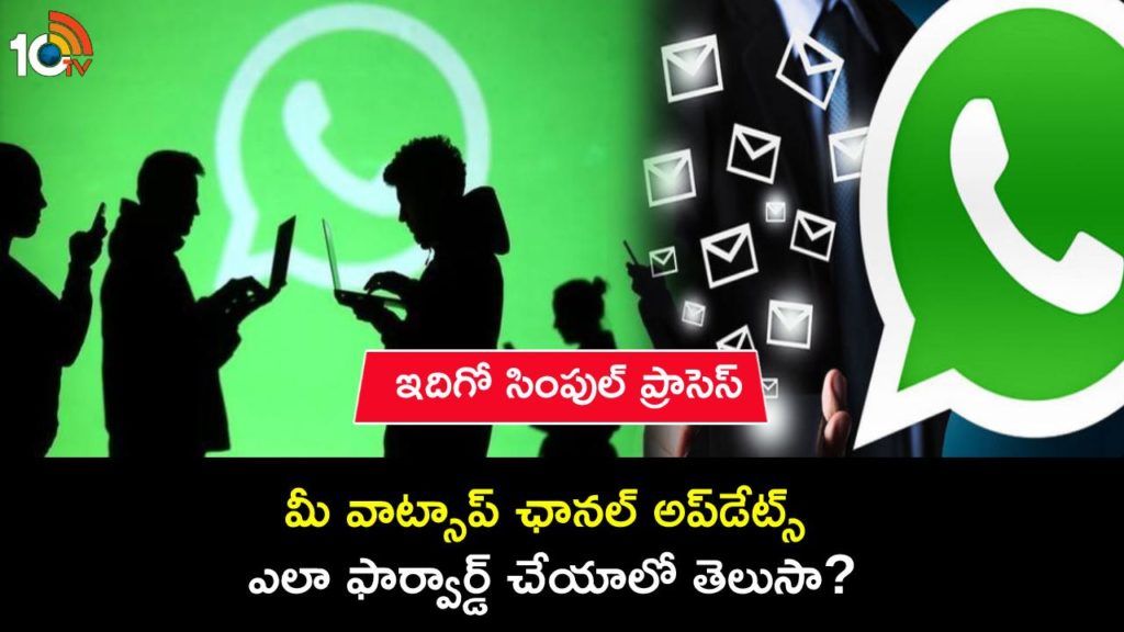 How to forward WhatsApp channel updates, Follow These Steps in telugu