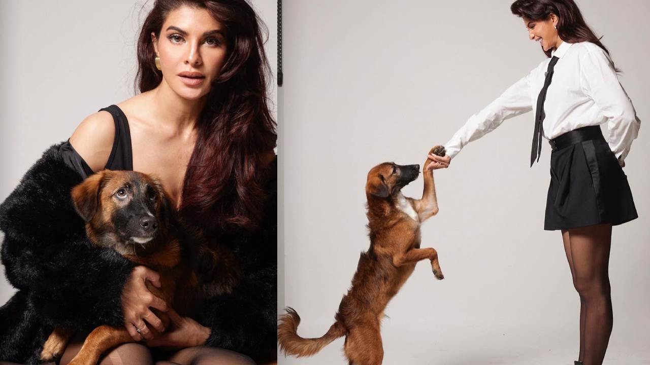 Jacqueliene Fernandez : పెంపుడు కుక్కతో కలిసి మ్యాగజైన్‌కి స్పెషల్ ఫోటోషూట్ చేసిన జాక్వెలిన్ ఫెర్నాండేజ్..