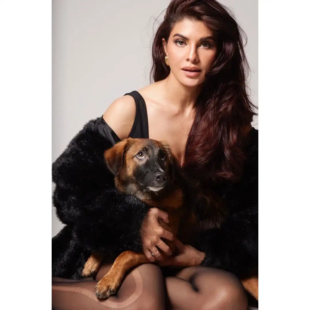 Jacqueliene Fernandez Photo Shoot for Filmfare Magazine with Her Pet Dog