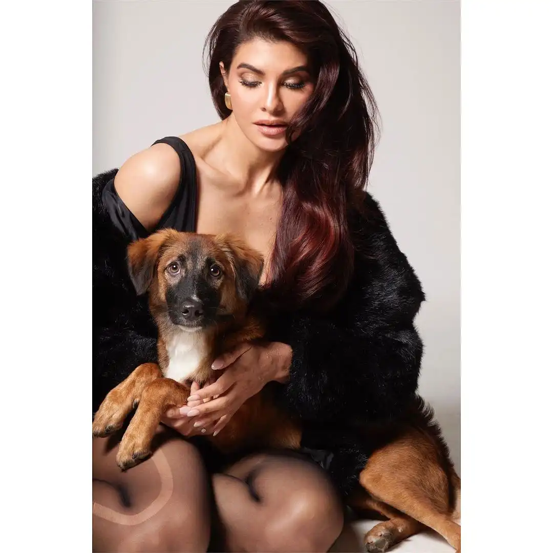 Jacqueliene Fernandez Photo Shoot for Filmfare Magazine with Her Pet Dog