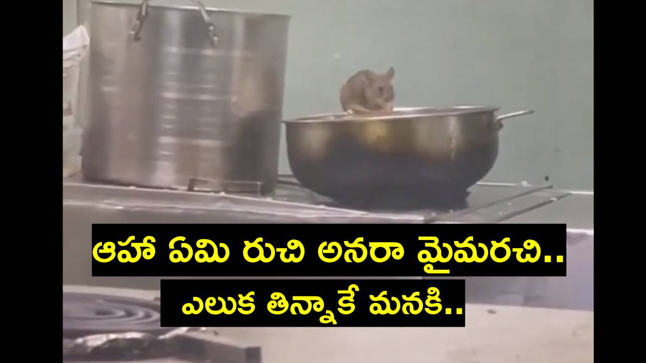 Viral Video: ప్రయాణికులకు అందించే ముందు ఆహారాన్ని రుచి చూస్తున్న ఎలుకలు.. ఇలాంటి ఫుడ్ తింటున్నామా? Viral Video: ప్రయాణికులకు అందించే ముందు ఆహారాన్ని రుచి చూస్తున్న ఎలుకలు.. ఇలాంటి ఫుడ్ తింటున్నామా?