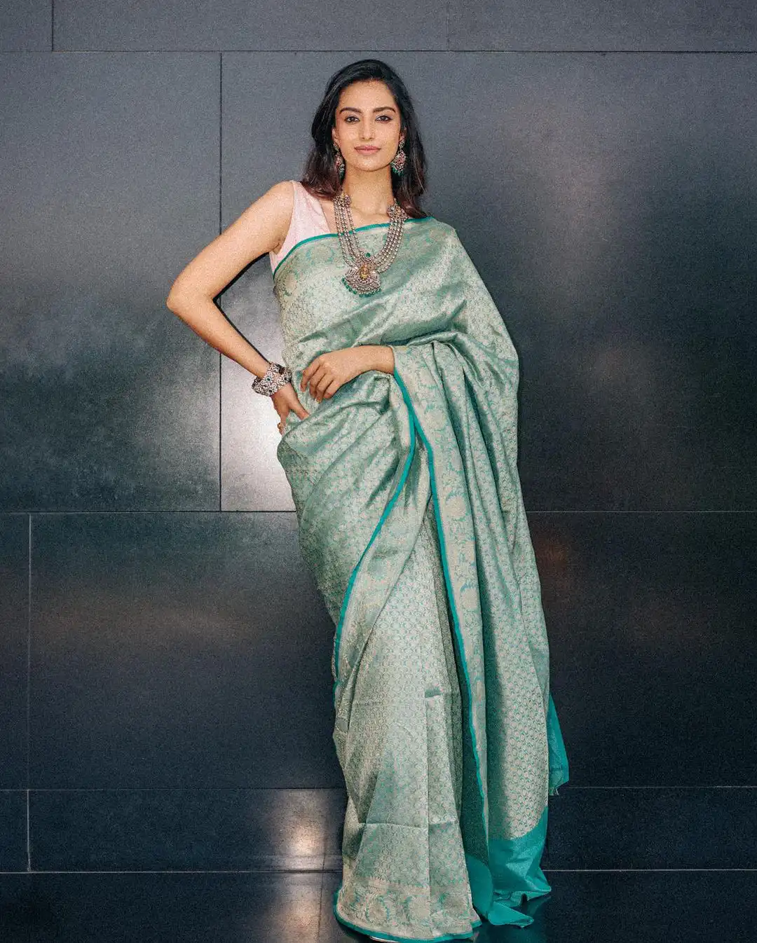 Meenaakshi Chaudhary Stunning Looks in Saree