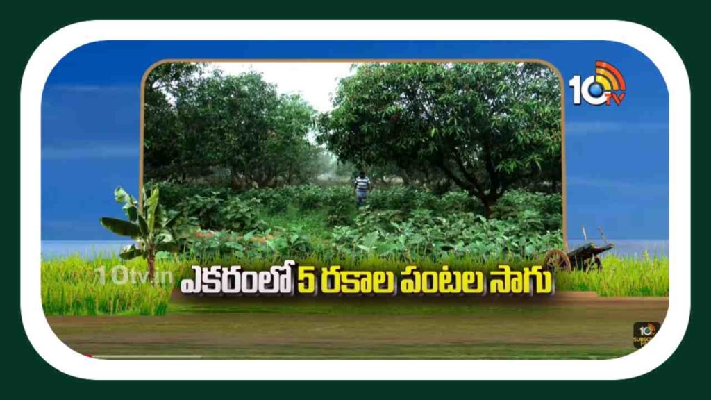 Multi-Crop Cultivation