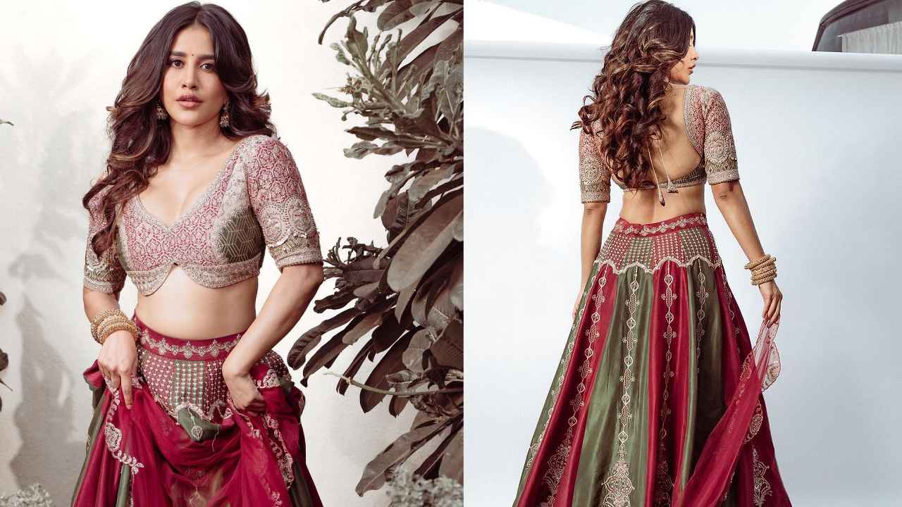 Nabha Natesh : గాగ్రా చోళీలో నభా నటేష్ నయనాలు..