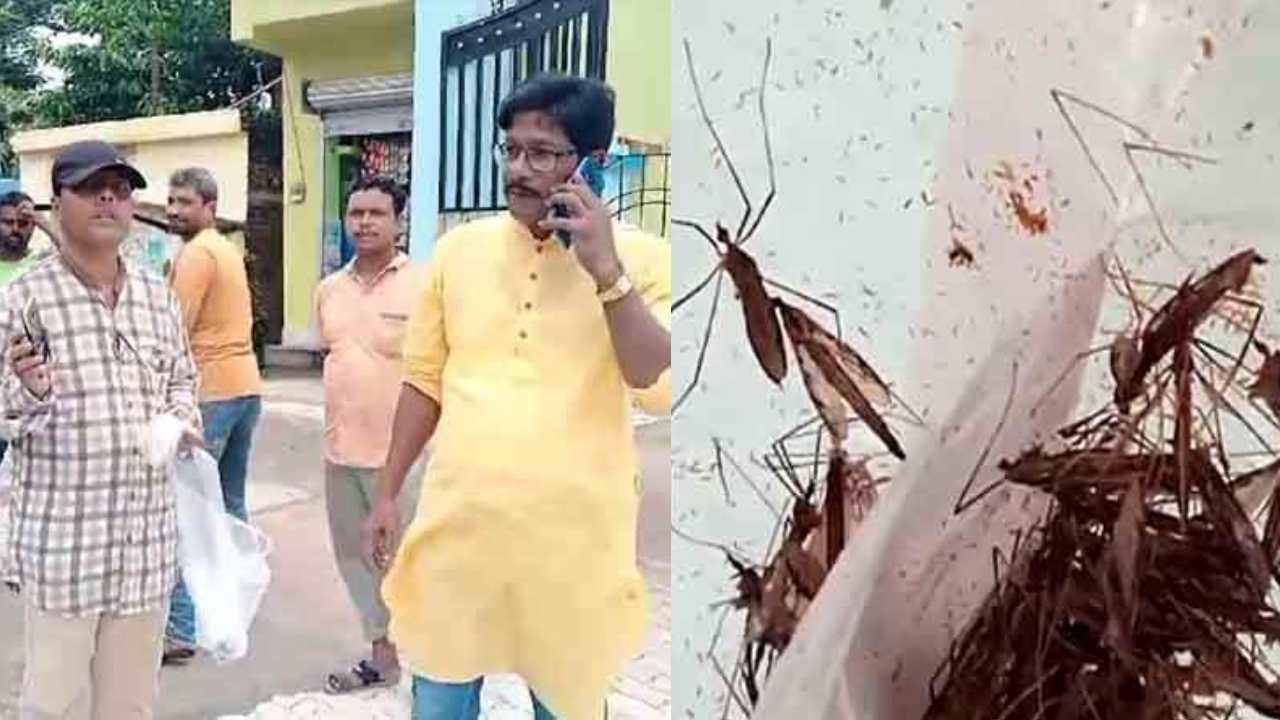 West Bengal : చంపిన దోమల్ని ఆసుపత్రికి తీసుకెళ్లిన వ్యక్తి.. ఎందుకో తెలిస్తే షాకవుతారు West Bengal : చంపిన దోమల్ని ఆసుపత్రికి తీసుకెళ్లిన వ్యక్తి.. ఎందుకో తెలిస్తే షాకవుతారు